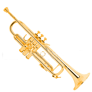 [바하 Bach] Bb Trumpet LR180 Gold Plate (LR180-37G) 트럼펫