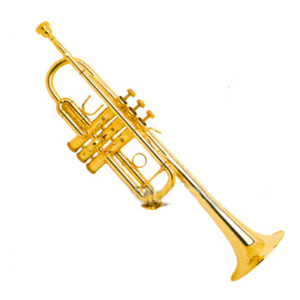 [바하 Bach] C180LG 트럼펫