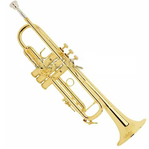 [바하 Bach] LR180-37G 트럼펫