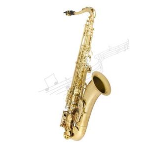 [안티구아 Antigua] Antigua Saxophone 안티구아 테너 색소폰 TS3100LQ