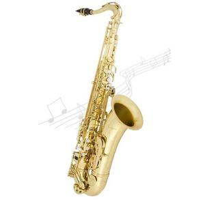 [안티구아 Antigua] Antigua Saxophone 안티구아 테너 색소폰 TS4240LQ 