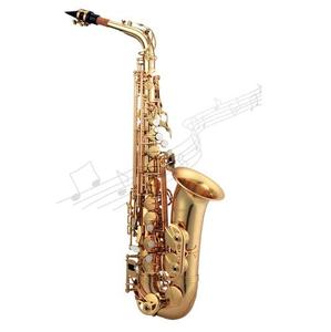 [안티구아 Antigua] Antigua Saxophone 안티구아 알토 색소폰 AS3100LQ