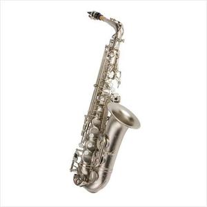 [안티구아 Antigua] Antigua Saxophone 안티구아 알토 색소폰 AS4240CN
