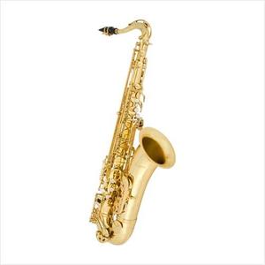 [안티구아 Antigua] Antigua Saxophone 안티구아 알토 색소폰 AS4240LQ