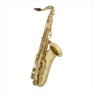 [안티구아 Antigua] Antigua Saxophone 안티구아 알토 색소폰 AS4240SB