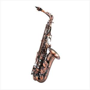 [안티구아 Antigua] Antigua Saxophone 안티구아 알토 색소폰 AS4240VC