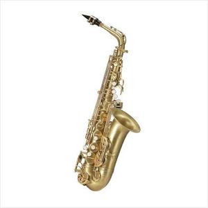 [안티구아 Antigua] Antigua Saxophone 안티구아 알토 색소폰 AS4240CB