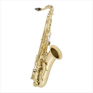 [안티구아 Antigua] Antigua Saxophone 색소폰 테너 색소폰 TS3220LQ