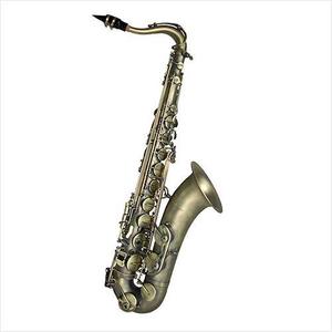[안티구아 Antigua] Antigua Saxophone 안티구아 테너 색소폰 TS4230AQ