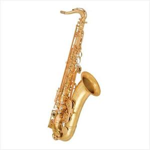 [안티구아 Antigua] Antigua Saxophone 안티구아 테너 색소폰TS6200VLQ