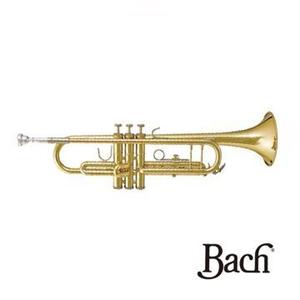 [바하 Bach] TR305BP 트럼펫