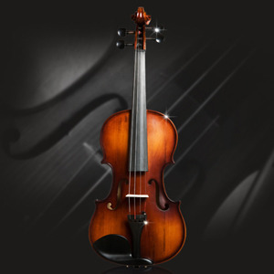 [영창 Young Chang]YCV500 바이올린